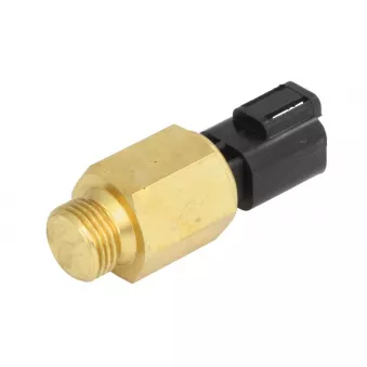 Sonde de température, liquide de refroidissement ANAC MAKINA 701-80317