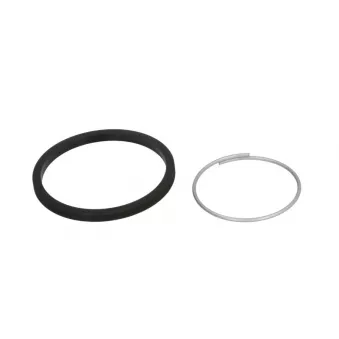 Kit de réparation, étrier de frein BBP 15508BBP