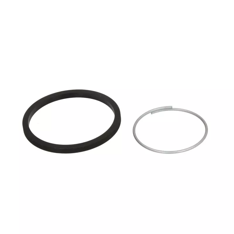 Kit de réparation, étrier de frein BBP 15508BBP