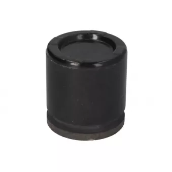 Piston d'étrier de frein BBP 7833BBP ZAM