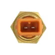 Sonde de température, liquide de refroidissement ANAC MAKINA 716-24200 - Visuel 2