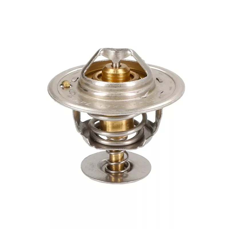 Thermostat d'eau ANAC MAKINA 02-100192