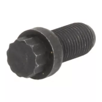 Boulon ANAC MAKINA 826-00892