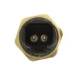 Sonde de température, liquide de refroidissement ANAC MAKINA 716-30160 - Visuel 2