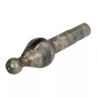 Pommeau de levier de vitesses ANAC MAKINA 445-05503
