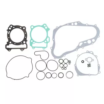 Jeu de joints moteur WINDEROSA 808585
