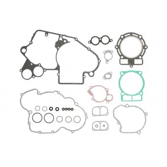 Jeu de joints moteur WINDEROSA 808318