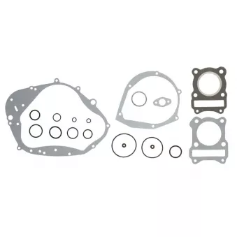 Jeu de joints moteur WINDEROSA 808530