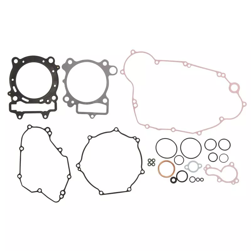 Jeu de joints moteur WINDEROSA 808469