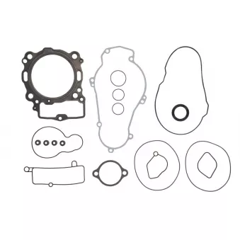 Jeu de joints moteur WINDEROSA 808331