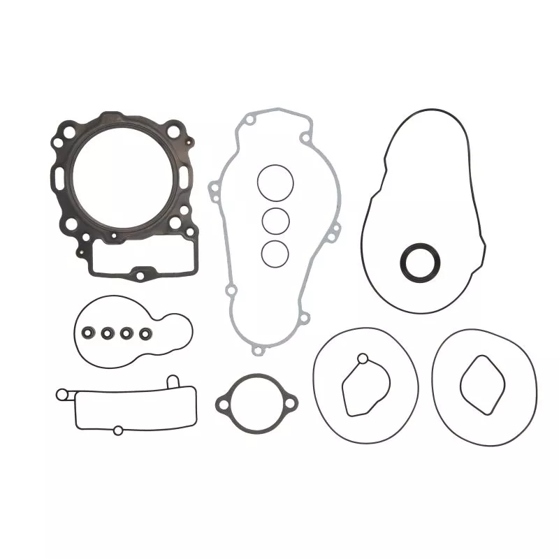 Jeu de joints moteur WINDEROSA 808331
