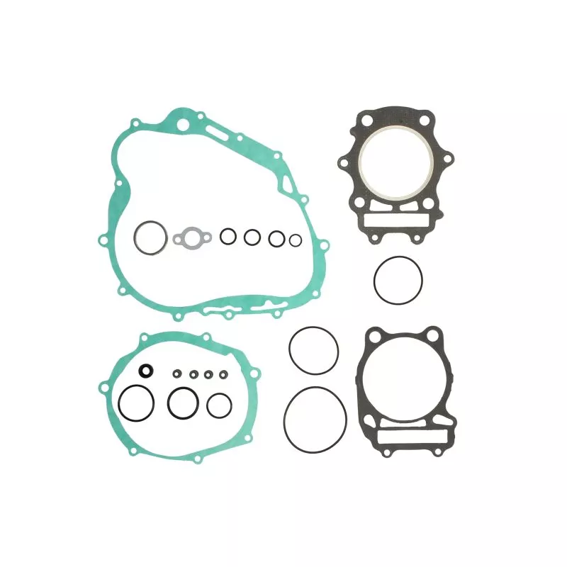Jeu de joints moteur WINDEROSA 808584