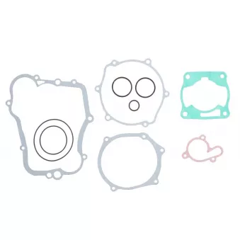 Jeu de joints moteur WINDEROSA 808614