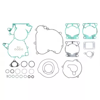 Jeu de joints moteur WINDEROSA 808338