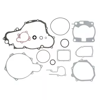 Jeu de joints moteur WINDEROSA 808665