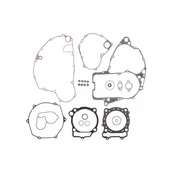Jeu de joints moteur WINDEROSA 808590
