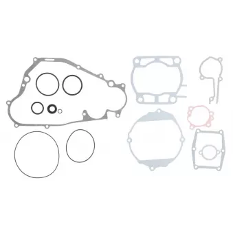 Jeu de joints moteur WINDEROSA 808661