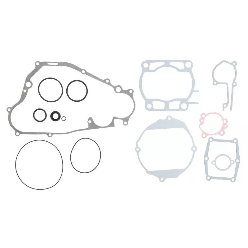 Jeu de joints moteur WINDEROSA 808661
