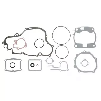 Jeu de joints moteur WINDEROSA 808662