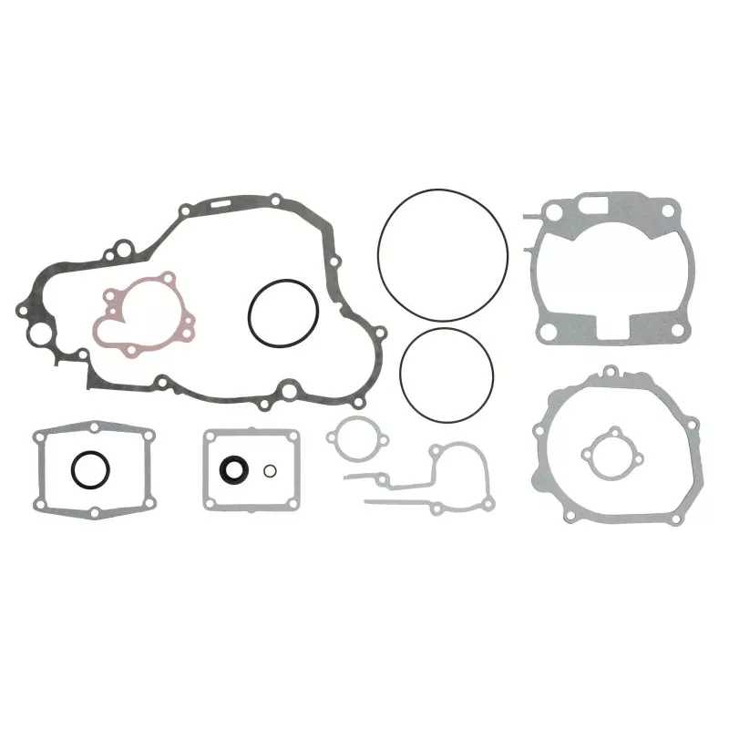 Jeu de joints moteur WINDEROSA 808662