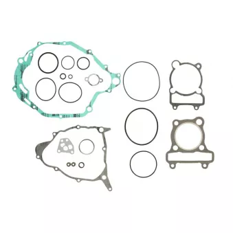 Jeu de joints moteur WINDEROSA 808643
