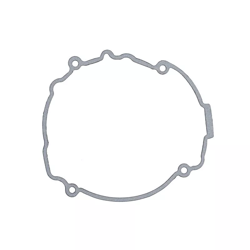 Joint de couvercle d'alternateur WINDEROSA 816532