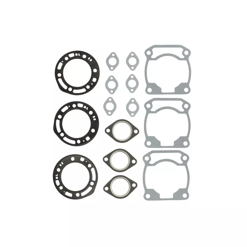 Jeu de joints moteur WINDEROSA 710199