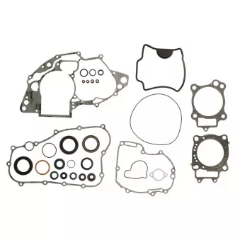 Jeu de joints moteur WINDEROSA 811268