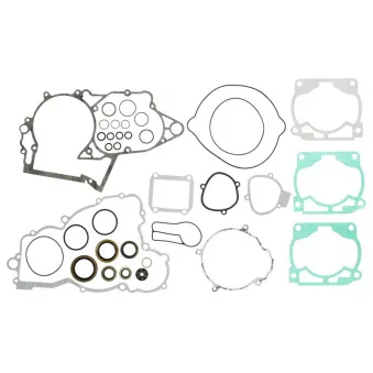 Jeu de joints moteur WINDEROSA 811333