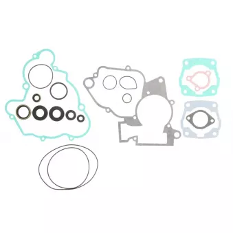 Jeu de joints moteur WINDEROSA 811302
