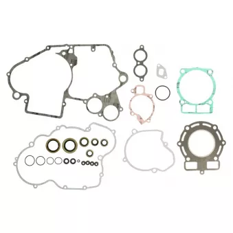 Jeu de joints moteur WINDEROSA 811316