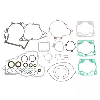 Jeu de joints moteur WINDEROSA 811334
