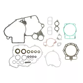 Jeu de joints moteur WINDEROSA 811317