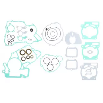 Jeu de joints moteur WINDEROSA 811371