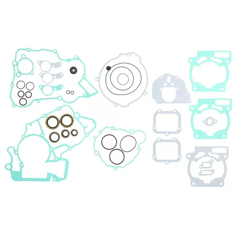Jeu de joints moteur WINDEROSA 811371