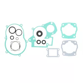 Jeu de joints moteur WINDEROSA 811314