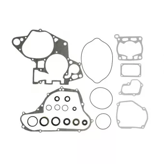 Jeu de joints moteur WINDEROSA 811548