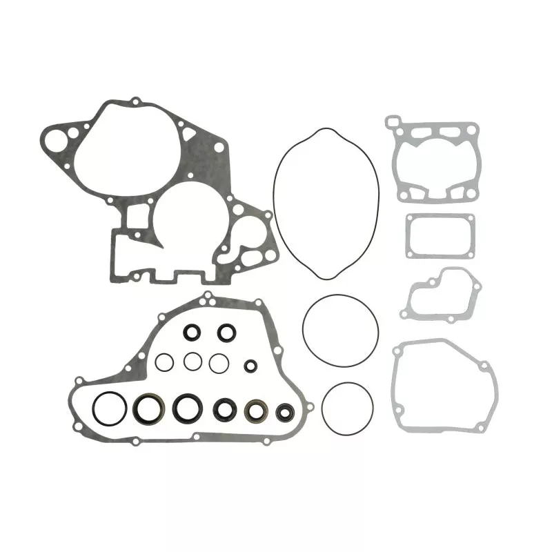 Jeu de joints moteur WINDEROSA 811548