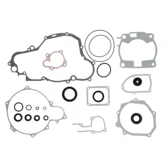 Jeu de joints moteur WINDEROSA 811665
