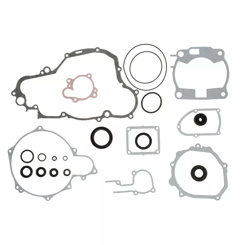 Jeu de joints moteur WINDEROSA 811665
