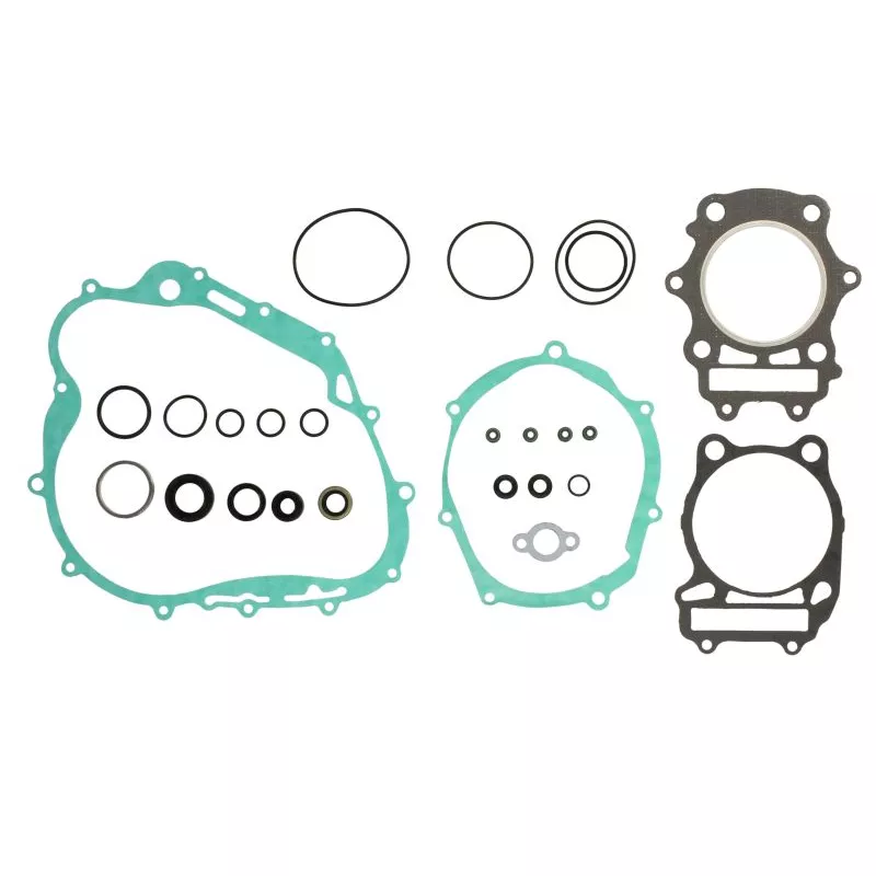 Jeu de joints moteur WINDEROSA 811584