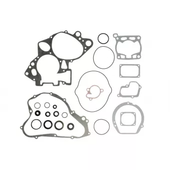 Jeu de joints moteur WINDEROSA 811547