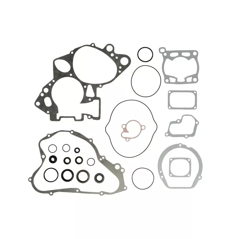Jeu de joints moteur WINDEROSA 811547