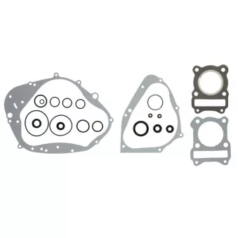 Jeu de joints moteur WINDEROSA 811534