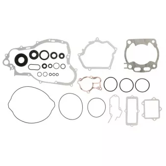 Jeu de joints moteur WINDEROSA 811670