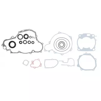Jeu de joints moteur WINDEROSA 811667