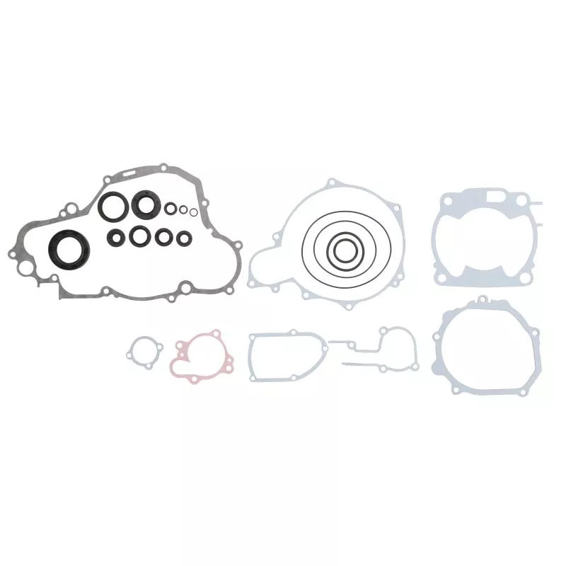 Jeu de joints moteur WINDEROSA 811667