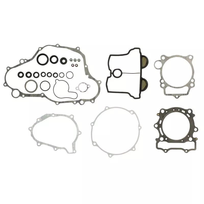 Jeu de joints moteur WINDEROSA 811676