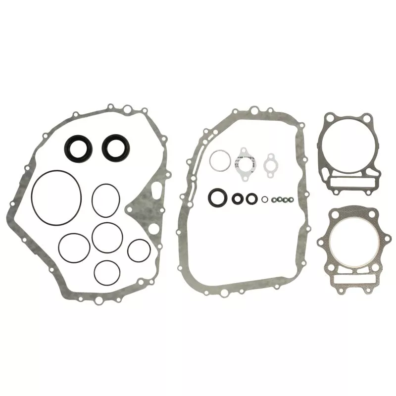 Jeu de joints moteur WINDEROSA 811846