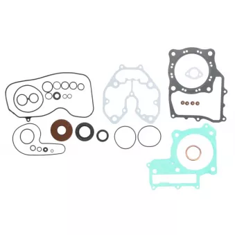 Jeu de joints moteur WINDEROSA 811843